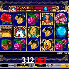 FAQ 312Bet — central de ajuda e suporte oficial Brasil